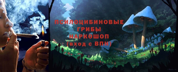 трава Медвежьегорск