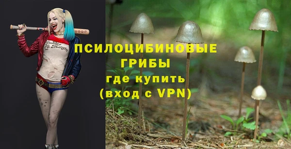 трава Медвежьегорск