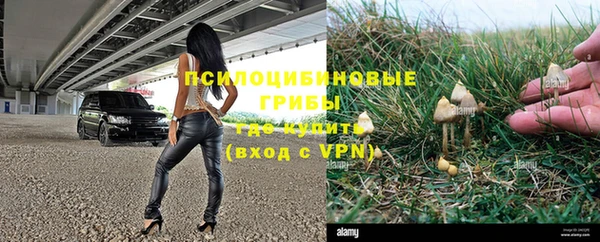 трава Медвежьегорск