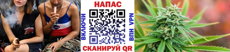 где купить наркоту  Питкяранта  Канабис AK-47 